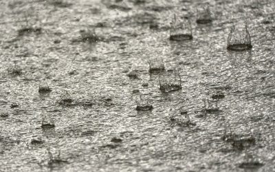 How Weather Affects Imprinted Concrete Driveways in Surrey